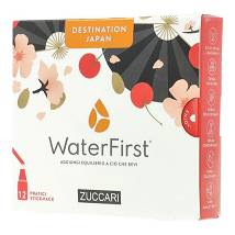 WATER FIRST DEST JAP 1,5GX12