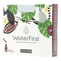 WATER FIRST DEST MADAG 1,5GX12