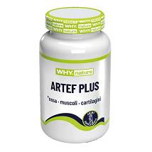 WHYNATURE ARTEF PLUS 60CPR