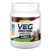 WHYNATURE VEG PROTEIN CAC 450G
