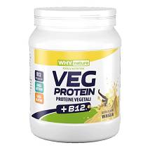 WHYNATURE VEG PROTEIN VAN 450G