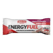 WHYSPORT ENERGY FUEL FRUTTI30G