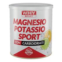 WHYSPORT MAGNESIO POTASS S300G