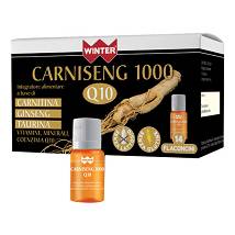 WINTER CARNISENG1000 Q10 14FL