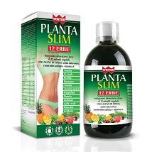 WINTER PLANTA SLIM 12ERBE500ML