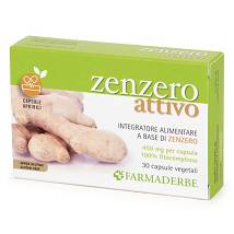 ZENZERO ATTIVO 30CPS VEGETALI