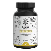 ZENZERO SN 60CPS