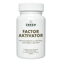 ZREEN FACTOR AKTIVATOR 90CPS