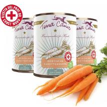 Zuppa di Carota del Dottor Moro