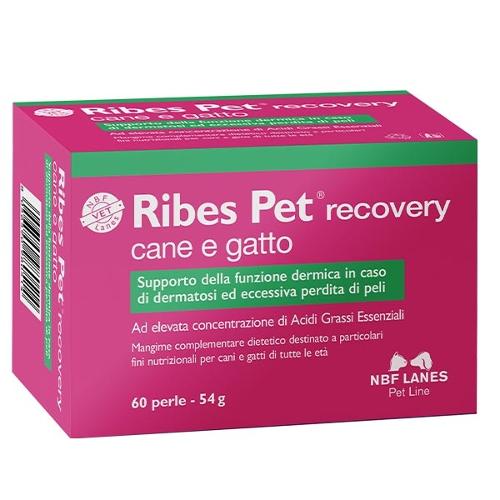 Ribes Pet Recovery 60 Perle Minsan 903596765